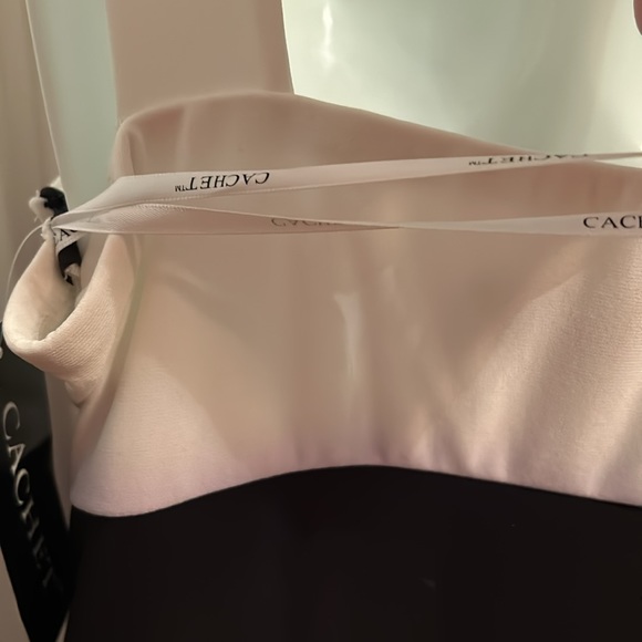 Cache sequined white and black dress nwt - Picture 11 of 12